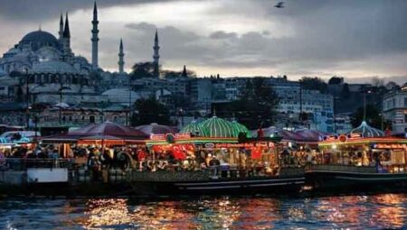 İstanbul’daki her 12 kişiden biri Suriyeli