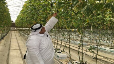 Cumhurbaşkanlığı Yatırım Ofisi ve Türkiye’nin Doha Büyükelçiliği Ticaret Müsavirliği tarafından Türkiye’de tarım alanında yatırım imkanları tanıtıldı