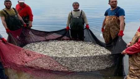 Balıkçılar için tüm  denizlerde av yasağı başladı